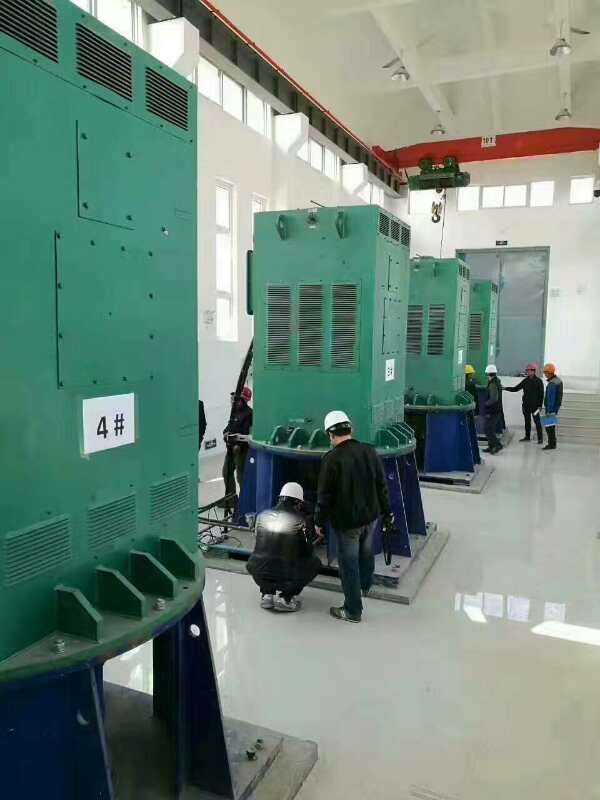 华宁某污水处理厂使用我厂的立式高压电机安装现场